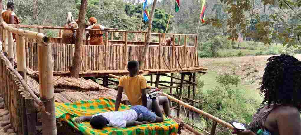Traditional bamboo houses