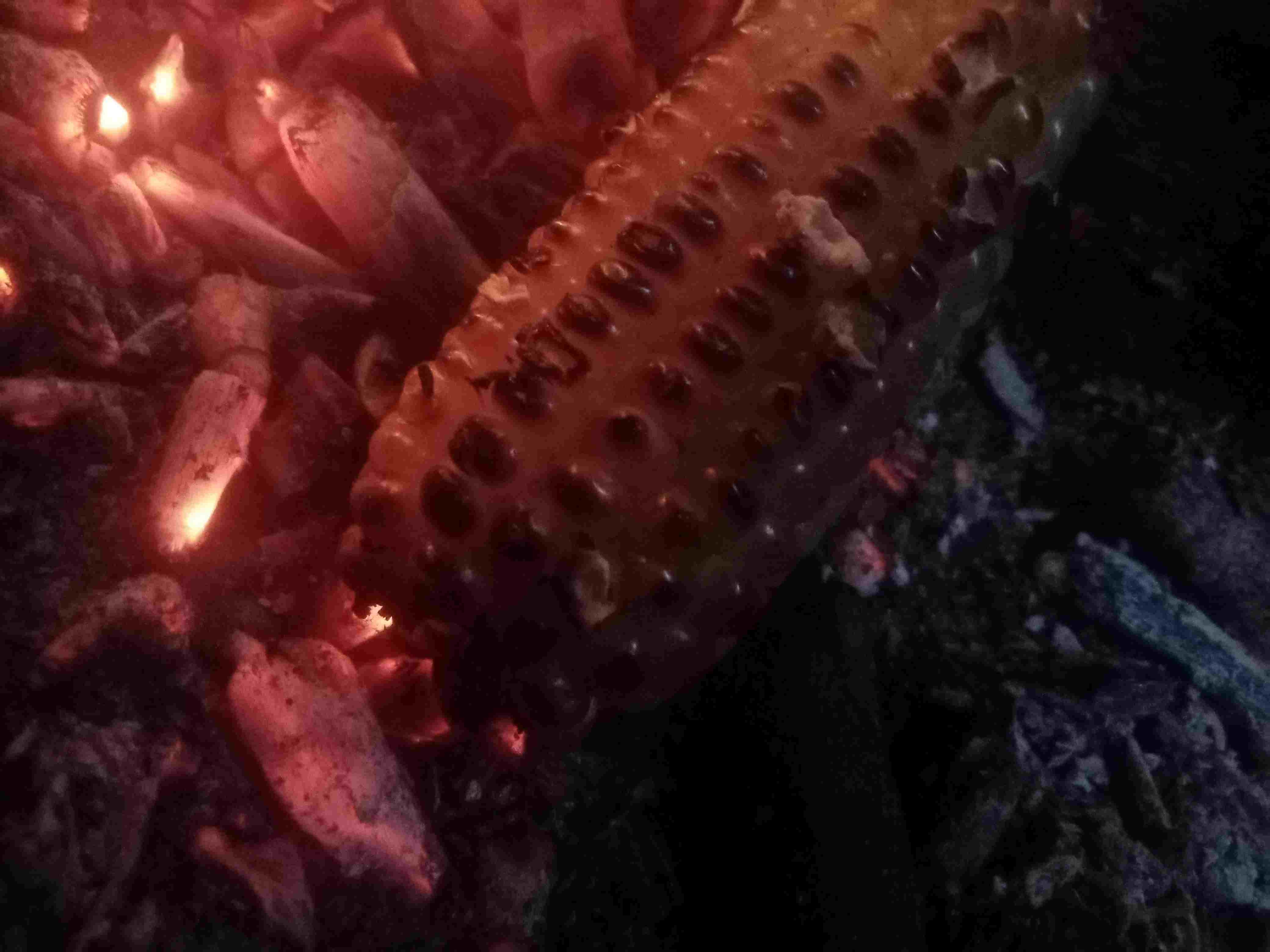 Coffee tour and tasting